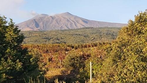 Etna in autunnoFoto Mario Pagano